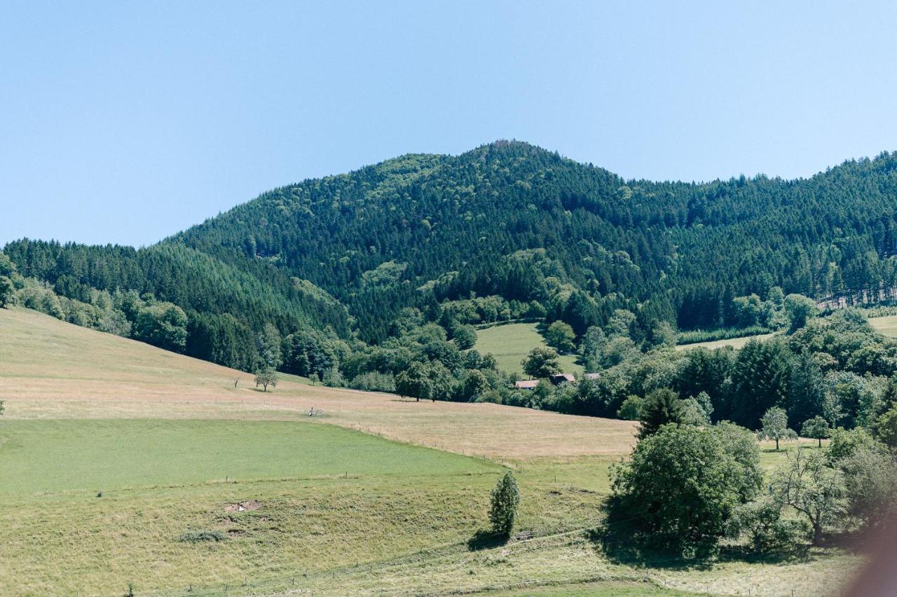 Rustikale 3 Zi.-Fewo Naehe Freiburg 70Qm Simonswald Bagian luar foto